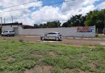 Terreno comercial para locação no bairro tubalina