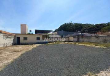 Terreno comercial para locação no bairro martins