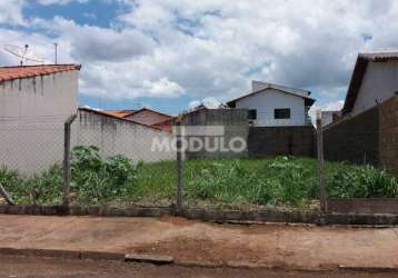 Terreno à venda, jardim karaiba - uberlândia/mg