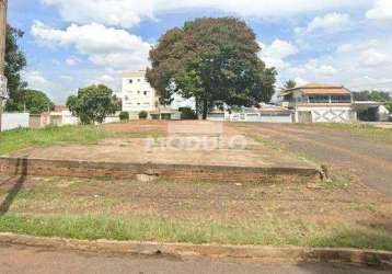 Área comercial para locação, bairro bom jesus