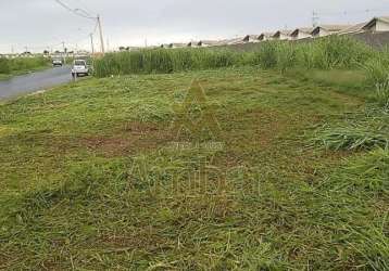 Terreno - ribeirão preto - reserva macaúba