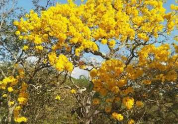 Condomínio recanto do beija flor