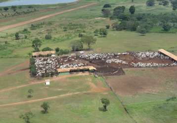 Excepcional fazenda no piauí