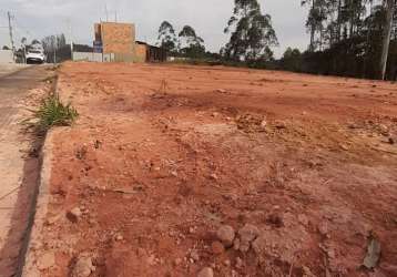 Lotes a venda no centro da guabiruba