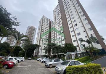 Apartamento para venda e locação, vila primavera, são paulo, sp