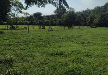 Chacara com córrego e nascente. 13 km de campo grande.