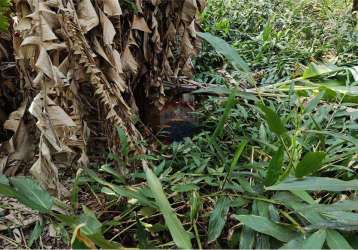 Grande terreno à venda em botujuru, campo limpo paulista