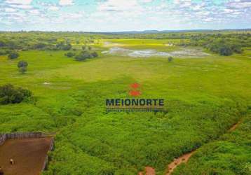 Fazenda com 1 dormitório à venda, 99000000 m² por r$ 24.750.000,00 - centro - morro cabeça no tempo/pi