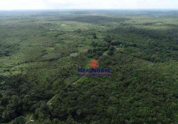 Fazenda com 1 dormitório à venda, 20190000 m² por r$ 2.000.000,00 - centro - mirinzal/ma