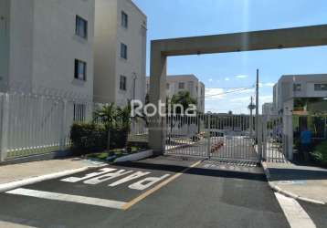 Apartamento à venda, 2 quartos, chacaras tubalina e quartel - uberlândia/mg - rotina imobiliária