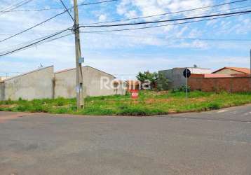 Terreno à venda, shopping park - uberlândia/mg - rotina imobiliária