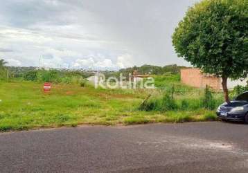 Terreno à venda, tibery - uberlândia/mg - rotina imobiliária