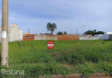 Terreno à venda, shopping park - uberlândia/mg - rotina imobiliária