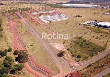 Terreno à venda, luizote de freitas - uberlândia/mg - rotina imobiliária