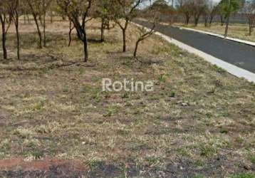 Terreno à venda, jardim karaíba - uberlândia/mg - rotina imobiliária