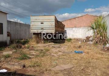 Terreno à venda, jardim américa - uberlândia/mg - rotina imobiliária