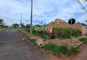 Terreno à venda, tibery - uberlândia/mg - rotina imobiliária