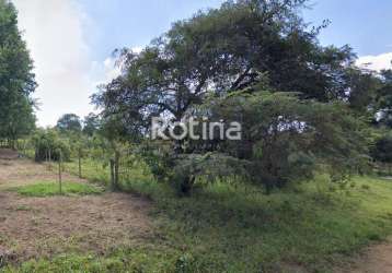 Terreno à venda, morada nova - uberlândia/mg - rotina imobiliária