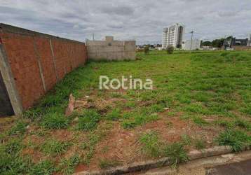 Terreno à venda, portal do vale - uberlândia/mg - rotina imobiliária