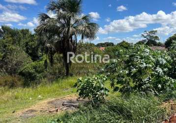 Terreno à venda, nossa senhora das graças - uberlândia/mg - rotina imobiliária