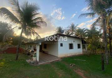 Chacara à venda, 2 quartos, jockey camping - uberlândia/mg - rotina imobiliária