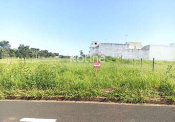 Terreno à venda, shopping park - uberlândia/mg - rotina imobiliária