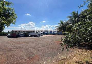 Área à venda, distrito industrial - uberlândia/mg - rotina imobiliária