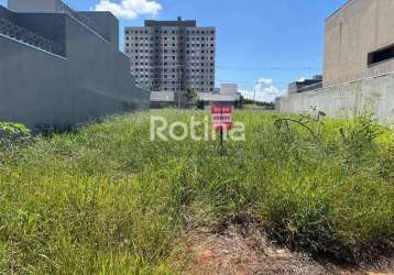 Terreno à venda, grand ville - uberlândia/mg - rotina imobiliária