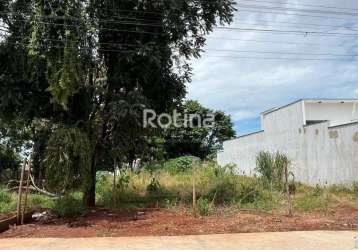 Terreno à venda, cidade jardim - uberlândia/mg - rotina imobiliária