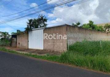 Comercial à venda, tibery - uberlândia/mg - rotina imobiliária