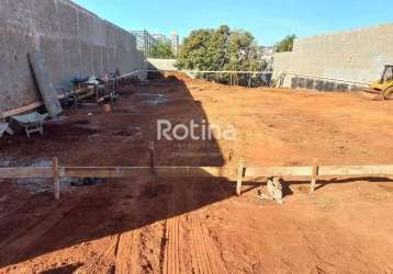 Terreno à venda, cidade jardim - uberlândia/mg - rotina imobiliária