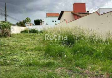 Terreno à venda, jardim colina - uberlândia/mg - rotina imobiliária