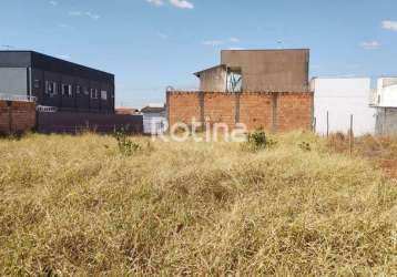 Terreno à venda, new golden ville - uberlândia/mg - rotina imobiliária