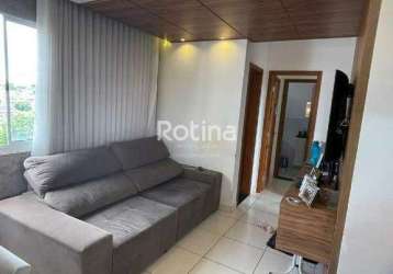 Apartamento à venda, 2 quartos, tibery - uberlândia/mg - rotina imobiliária