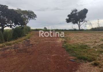 Área à venda, zona rural - uberlândia/mg - rotina imobiliária