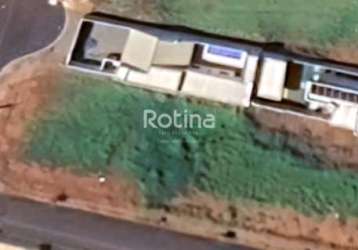 Terreno à venda, portal do vale - uberlândia/mg - rotina imobiliária