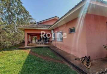 Chacara à venda, 5 quartos, shopping park - uberlândia/mg - rotina imobiliária