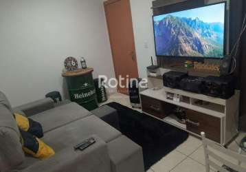 Apartamento à venda, 2 quartos, jardim holanda - uberlândia/mg - rotina imobiliária