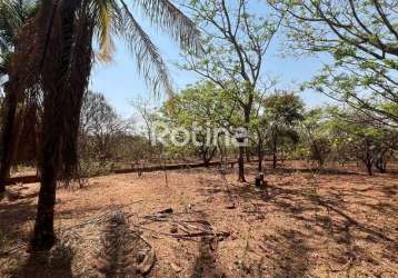 Terreno à venda, chacaras tubalina e quartel - uberlândia/mg - rotina imobiliária