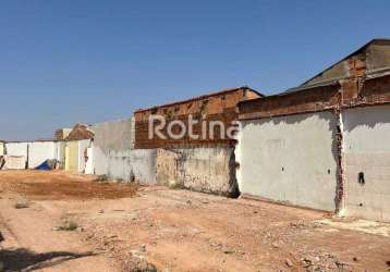 Terreno à venda, brasil - uberlândia/mg - rotina imobiliária