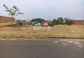 Terreno à venda, shopping park - uberlândia/mg - rotina imobiliária