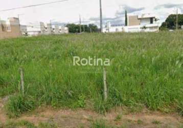 Terreno à venda, vigilato pereira - uberlândia/mg - rotina imobiliária