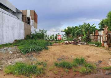 Terreno à venda, jardim brasília - uberlândia/mg - rotina imobiliária