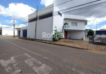 Galpão à venda, umuarama - uberlândia/mg - rotina imobiliária