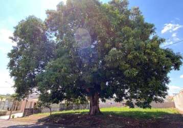 Terreno em condomínio para venda em limeira, portal de sao clemente