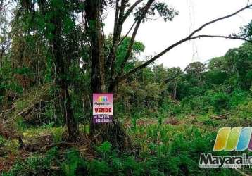 Terreno à venda, 9.000m² por r$ 300.000 - acaraí - são francisco do sul/sc