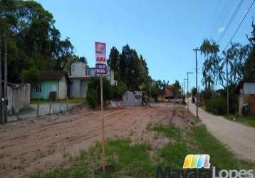 Terreno para alugar, 700 m² por r$ 1.000,00/mês - praia de ubatuba - são francisco do sul/sc