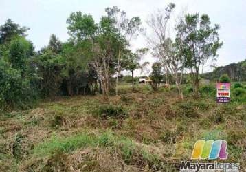 Terreno à venda, 360 m²  praia do ervino - são francisco do sul/sc