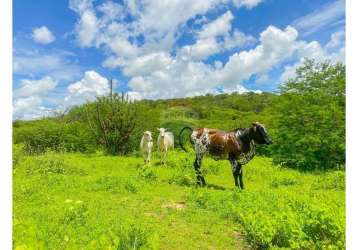 Oportunidade de investimento em fazenda com contrato para instalação de torres eólicas