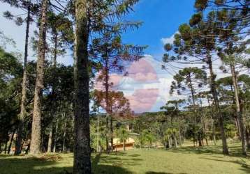 'explore o paraíso verde: refúgio na área do avenquinha, campo alegre, sc! 